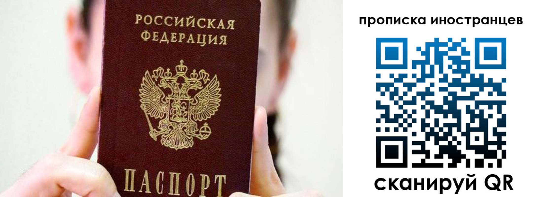 прописка законно в Оленегорске